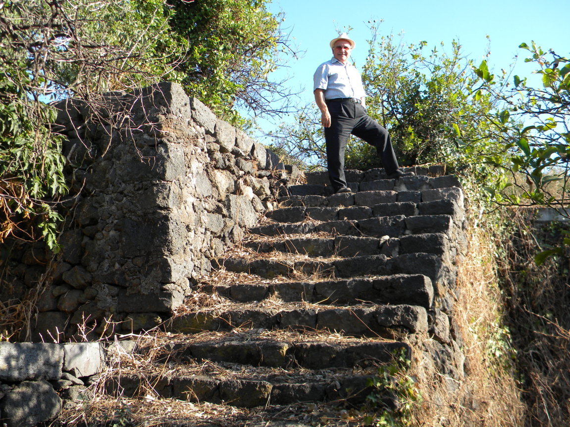 DSCN8082 .JPG